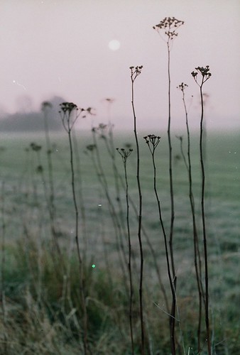 fading concentration | by pancolar user