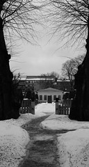 Linnaeus Garden in winter_04