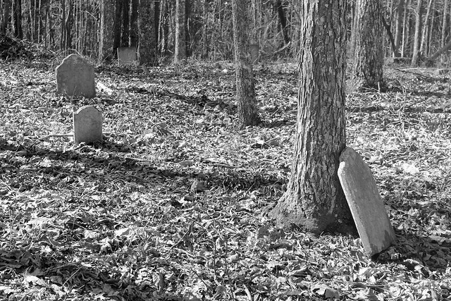 Beaver Creek Cemetery 15