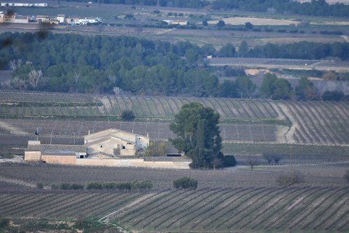 Ca l'Orpí, El Pla del Penedès | by esta_ahi
