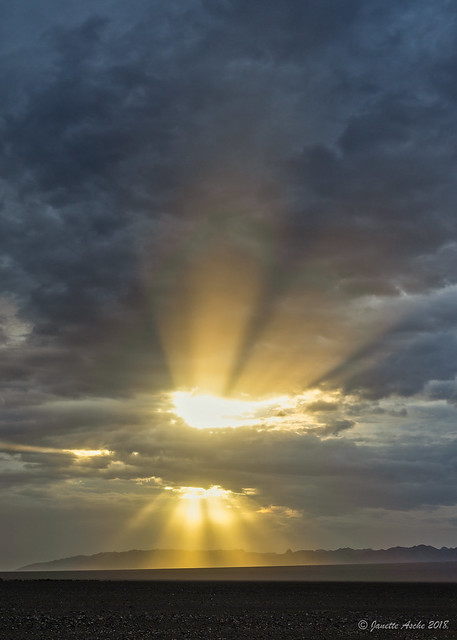 Gobi desert rays