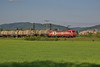 145 091-5 [bb] HGK 145 CL 014 zwischen Ladenburg und M-Friedrichsfeld