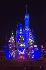 Photo 4 of 5 in the Day 14 - Tokyo Disneyland and Tokyo DisneySea gallery