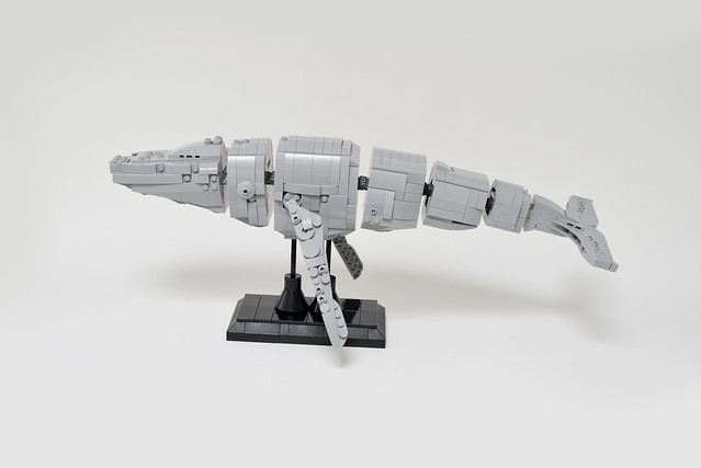 Lego HumpBack Whale - atana studio