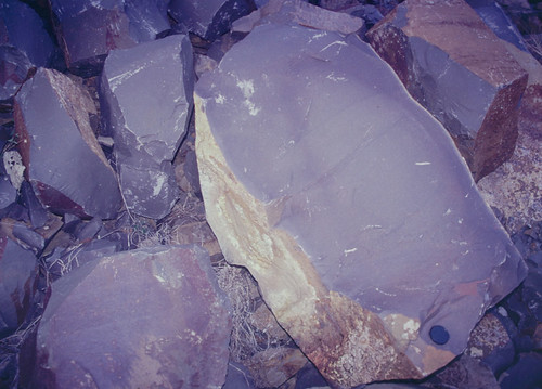 Basalt, Tieri, QLD, 04/11/01 | by Russell Cumming