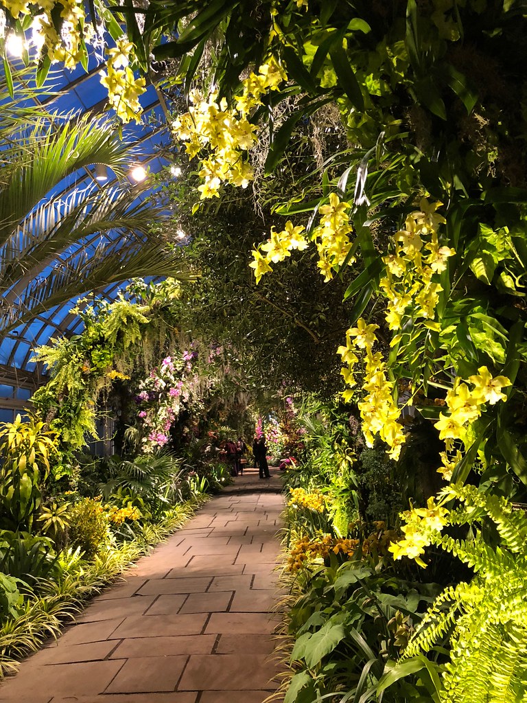 2019 Orchid Show Singapore New York Botanical Garden Flickr
