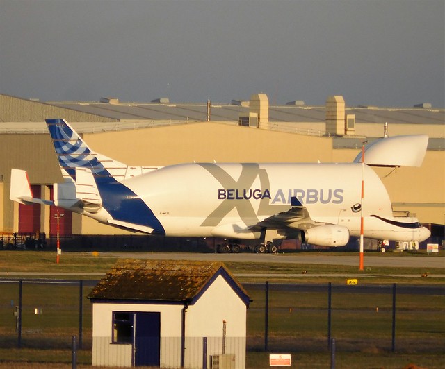 F-WBXL A330-743L Beluga XL