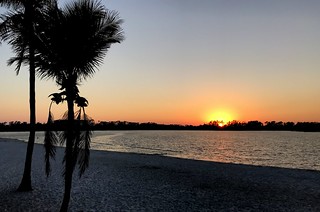 Sugden Park Sunset - Naples, FL