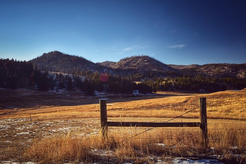 grass pasture field bellvuecolorado color stoveprairie barbwire fence hills colorado landscape