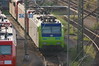 485 005-3 [ab] BLS Cargo Rbf Mannheim
