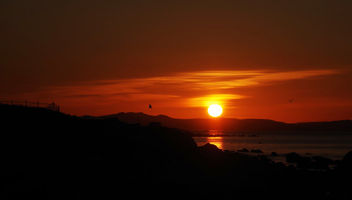 delenajane macro sunset redskies newfoundland ngc newfoundlandcoastline canada conceptionbaysouth ocean pentaxart