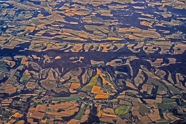 Aerial Abstract Farms & Riparian Forest DSC_2518