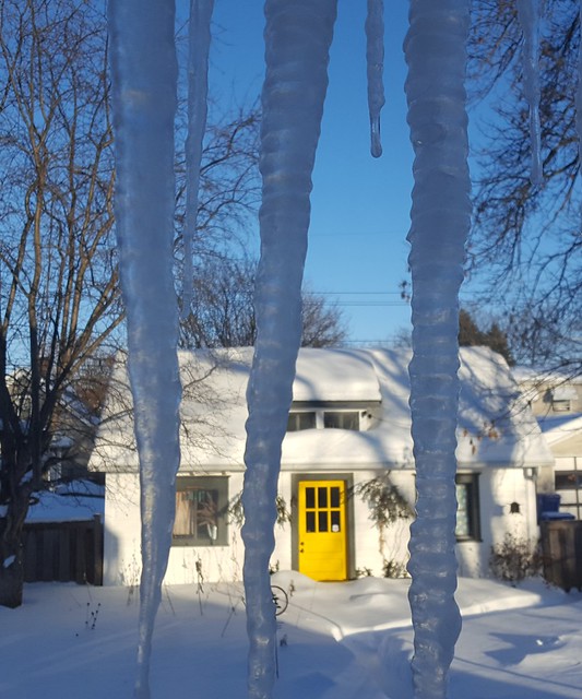 Garden Cottage in Ice