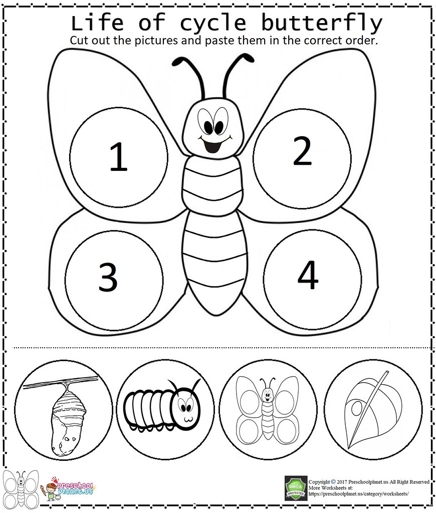 Life Of Cycle Butterfly Worksheet  Life Of Cycle Butterfly   Flickr With Regard To Butterfly Life Cycle Worksheet