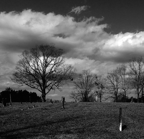 death life sky winter oak grave cemetery cemetary stones hill tod cold quercus alba repose quiet rest rip cloud hiver enero funderburk burial dead muerte alive