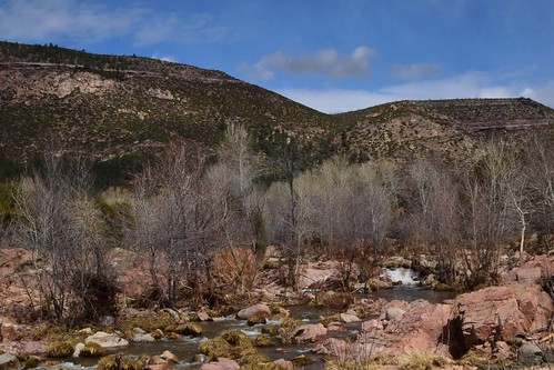 365the2019edition 3652019 day70365 11mar19 ohwowman nikon d3300 “tontonationalforest” ”payson” ”arizona” ”river” 365project my2019challenge animageaday dailyphotography nature outdoors outside nikkor acdseepro9