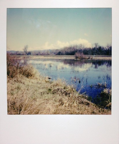 ankeny sx70 polaroid oregon rural landscape pond