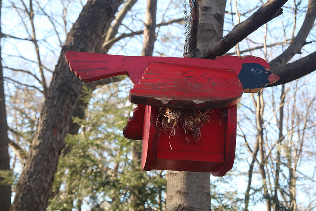 Red Birdhouse and Trees