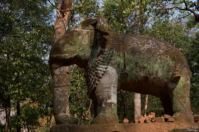 IMGP2023 Elephant Statue