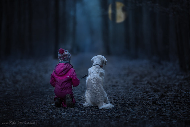 Child in the dark Forest