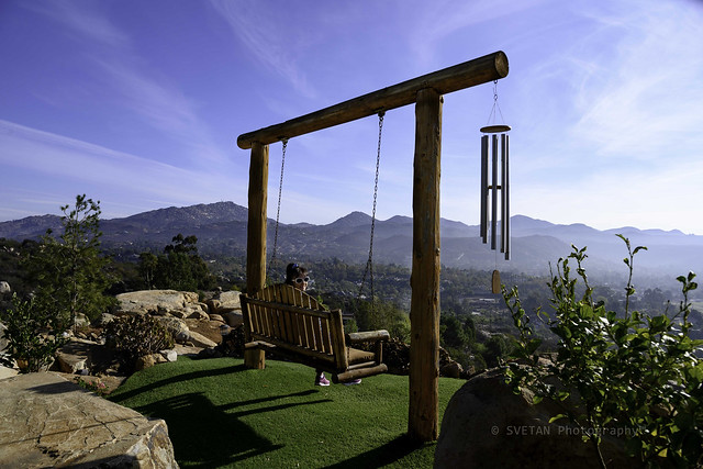 SWING WITH INSANE VIEW