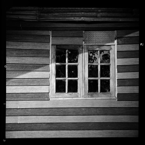 window wall striped wood lomolubitel166b fomapan 100 rodinal standdevelopment