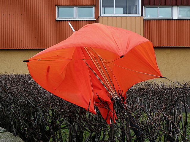 Orange umbrella