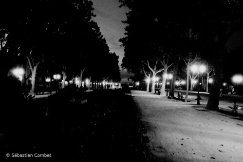 Montpellier Night Jardin