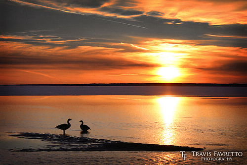 algoma bay beach birds canadagoose clouds contrail dusk geese goose jet lakesuperior plane sand sandbar saultstemarie shadow silhouette sunset waterreflection oldmillbay