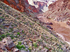 Grand Canyon 2008 Royal Arch