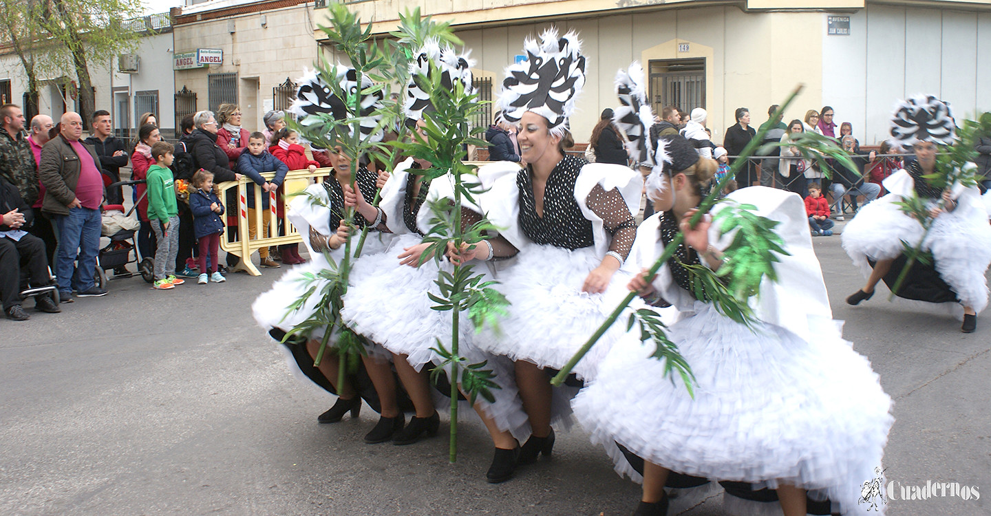 carnaval-tomelloso-desfile-locales-2019 (125)