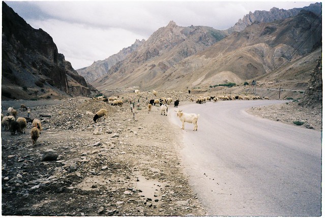 Ladakh | 2018