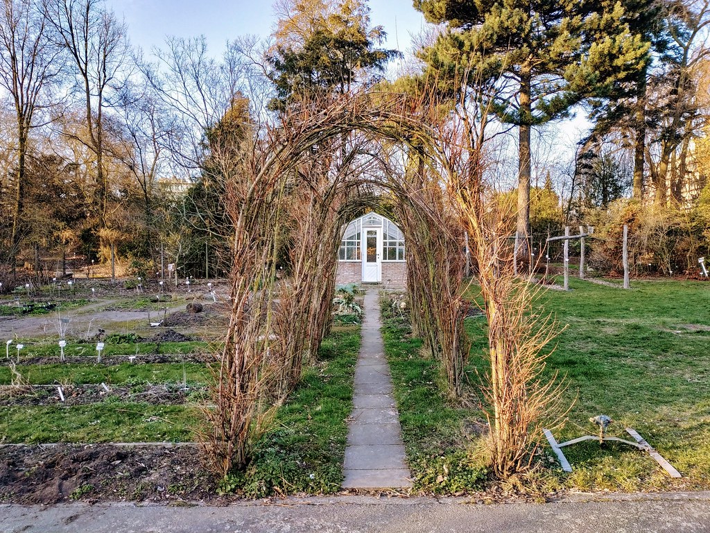 Arco de árboles en el jardín botánico