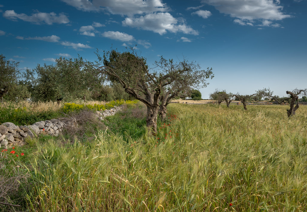 Sicilian countryside landscape