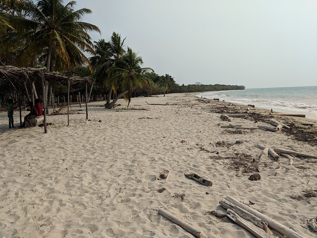 Beach Scene