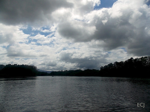 agua bosque manglar naturaleza humedal cielo nubes sombra viaje navegación bote árboles vegetación canal río