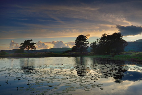 kelly kellyhalltarn furnessfells torver wetherlam southlakes dowcrag golden hour evening sunset summer tarn lake cumbria lakedistrict lone scots pine lakeland thelakes lakedistrictnationalpark nationaltrust fell fells mountains landscape imagestwiston district national park countryside mountain afterglow lilly pads still water reflection reflections englishlakedistrict lakes thelakedistrict reflected calm serene unesco worldheritagesite landrover nisi gnd neutraldensity grad