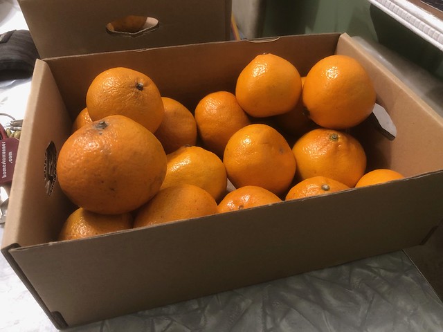 My last box of oranges, box number 8 since Sunday
