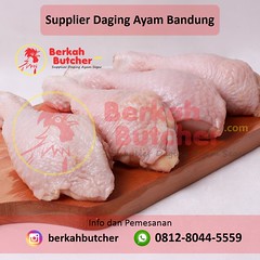 FRESH, Tlp/Wa. 0812-8044-5559, Harga Daging Ayam