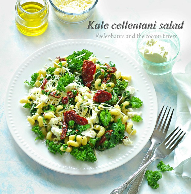 raw kale and cellentani salad 4