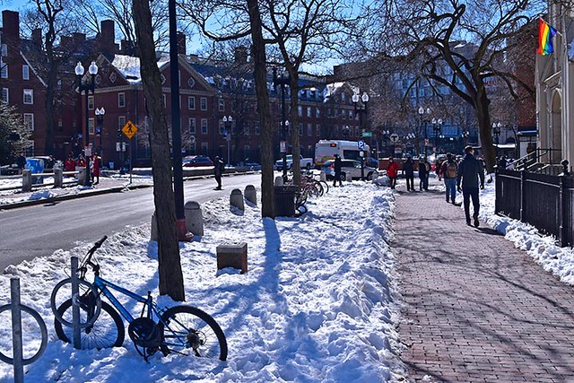 Toward Harvard Square