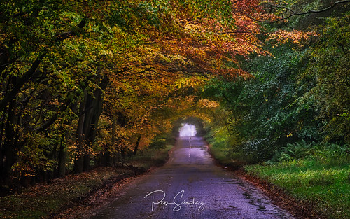 scotland travel xt1 highlands cupar escocia reinounido gb autumn colors landscape rute road