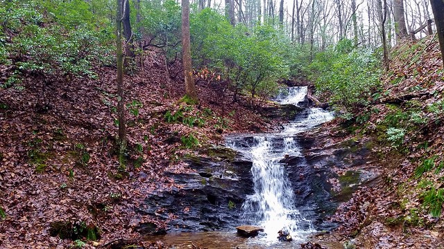 Little Mountain Falls Trail Loop