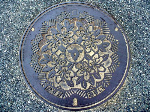 manhole flower japan hyogo kasuga