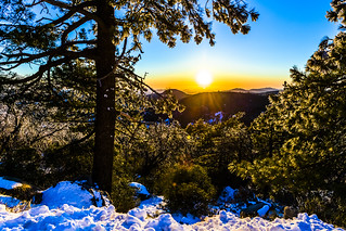 Mount Laguna Sunset With Snow and Ice In the Trees