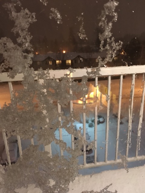 epic snow storm through my deck window