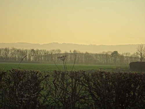 february charnwood sunset hoton leicestershire landscape winter sun light trees hedge countryside