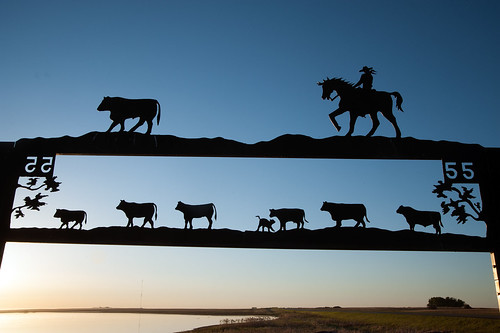 cow sign farm sunrise horse silhouette cowboy coleville saskatchewan canada ca