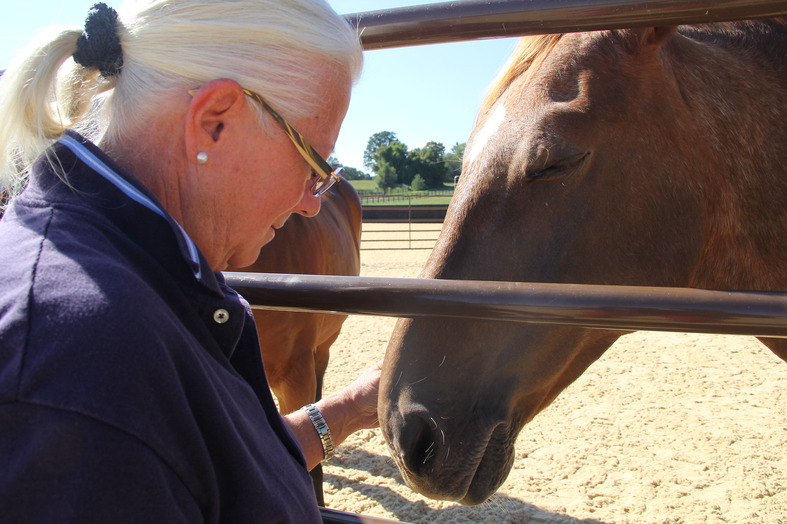 2015_T4T_Salamander Equine Therapy 51