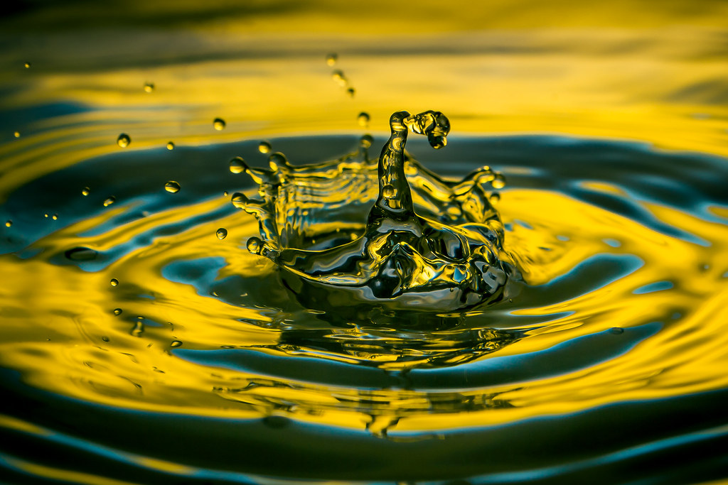 A drop of gold [day 113] | This time I could manage to quick… | Flickr